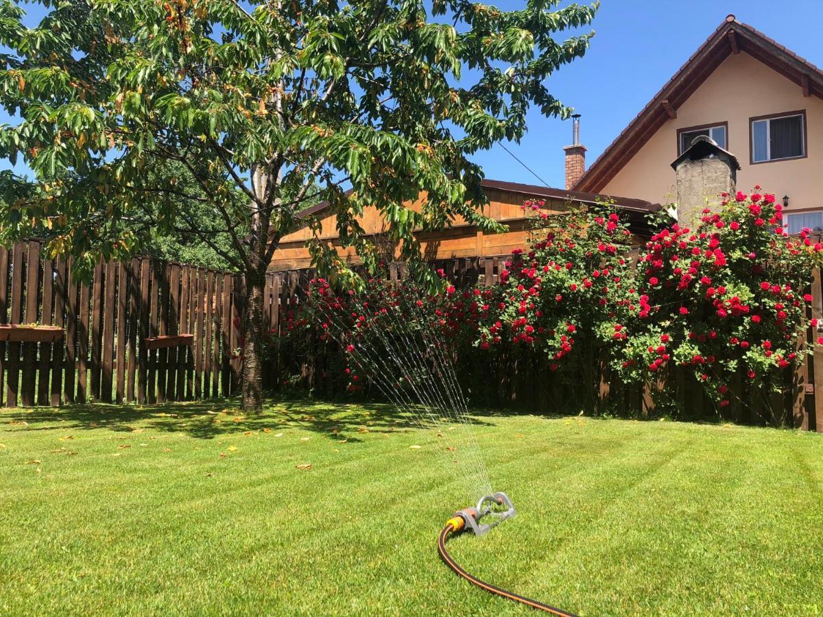 Pensiunea Aliart Zărneşti Extérieur photo