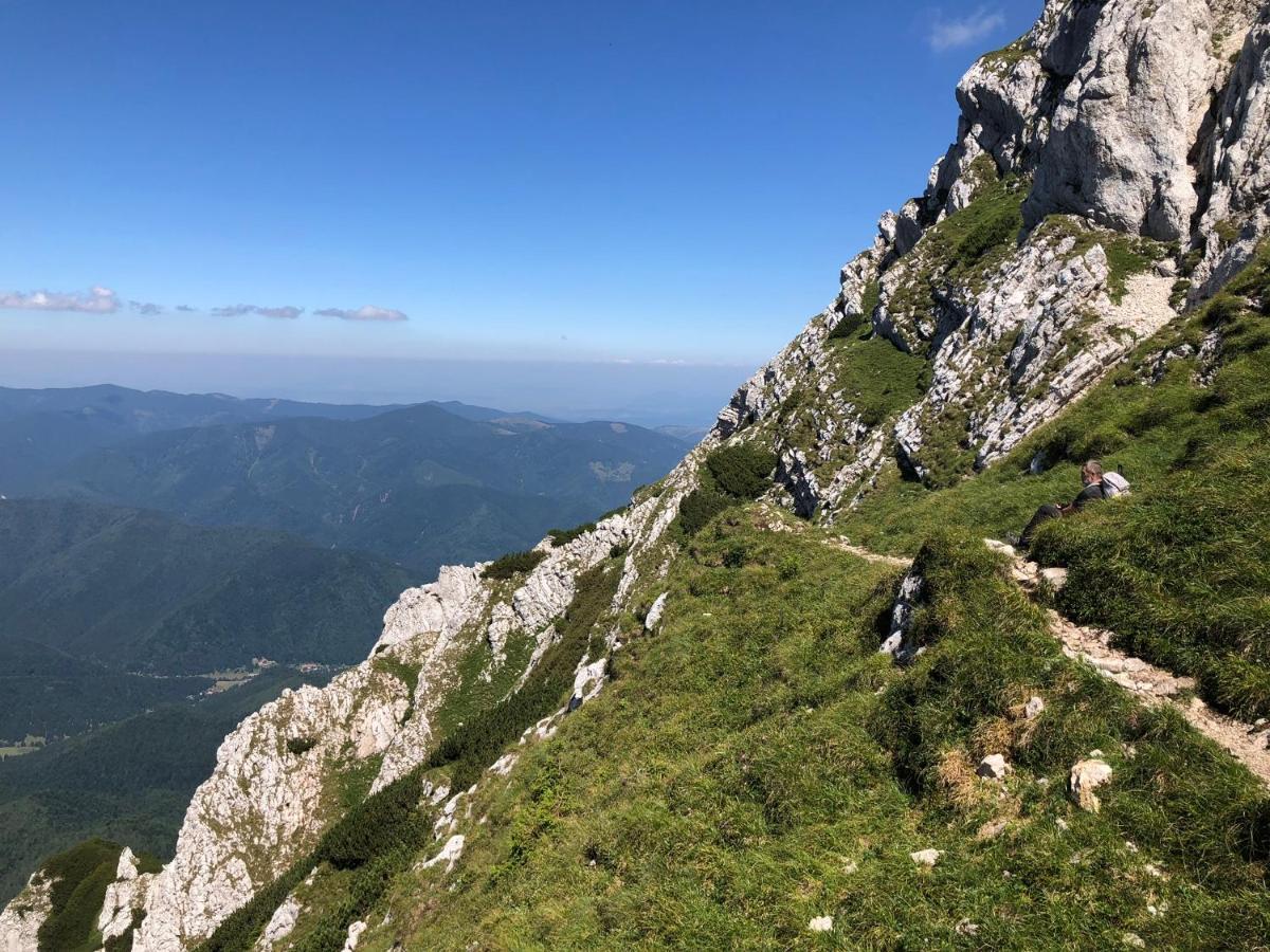Pensiunea Aliart Zărneşti Extérieur photo