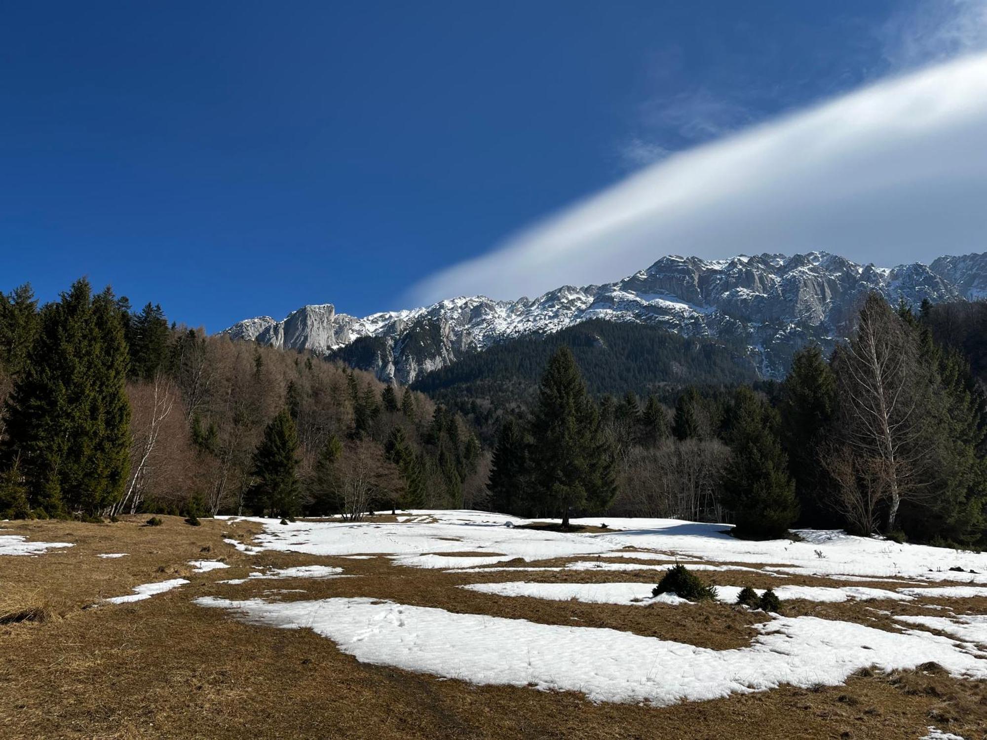 Pensiunea Aliart Zărneşti Extérieur photo