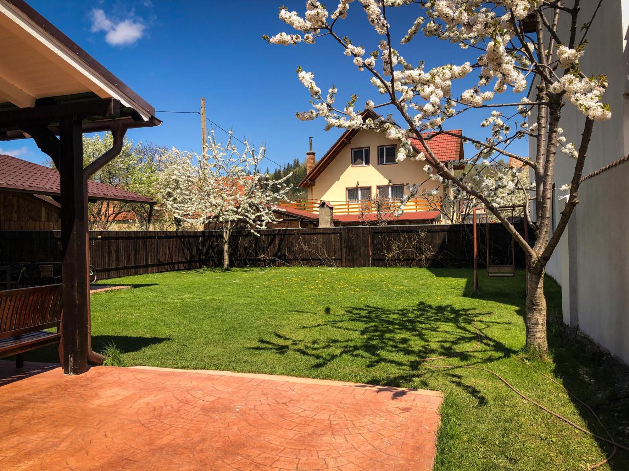 Pensiunea Aliart Zărneşti Extérieur photo