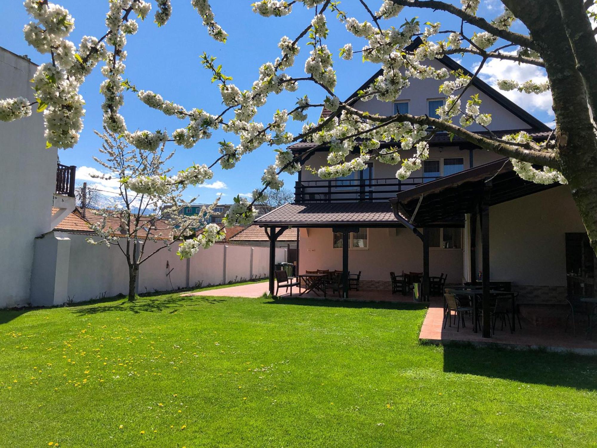 Pensiunea Aliart Zărneşti Extérieur photo